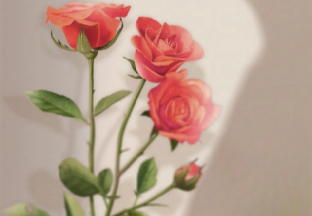 祝天下女神們節(jié)日快樂！??！